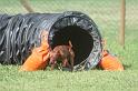 RoryAgility (4)